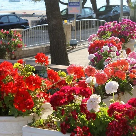 Apartment Holiday Apartment In Vodice With Sea View, Terrace, Air Conditioning, Wifi 145-3 *